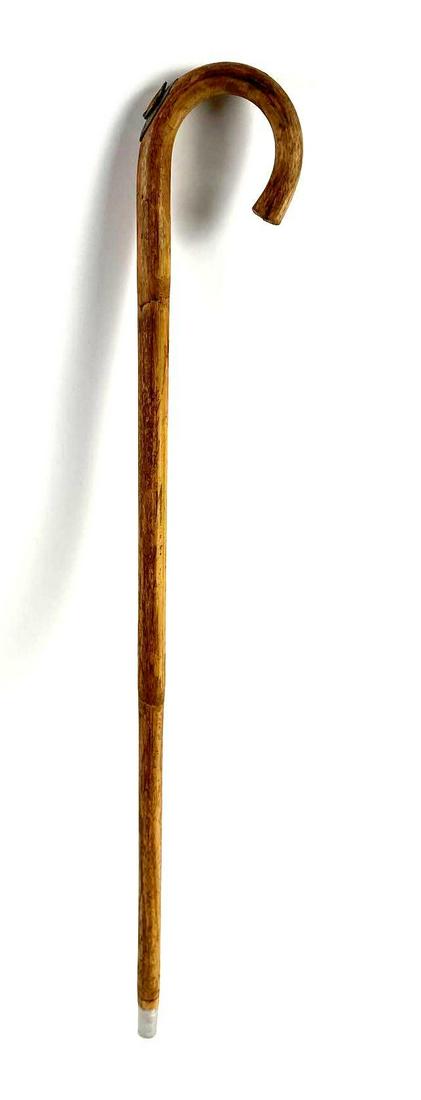 Gadget Cane (1 of 6)