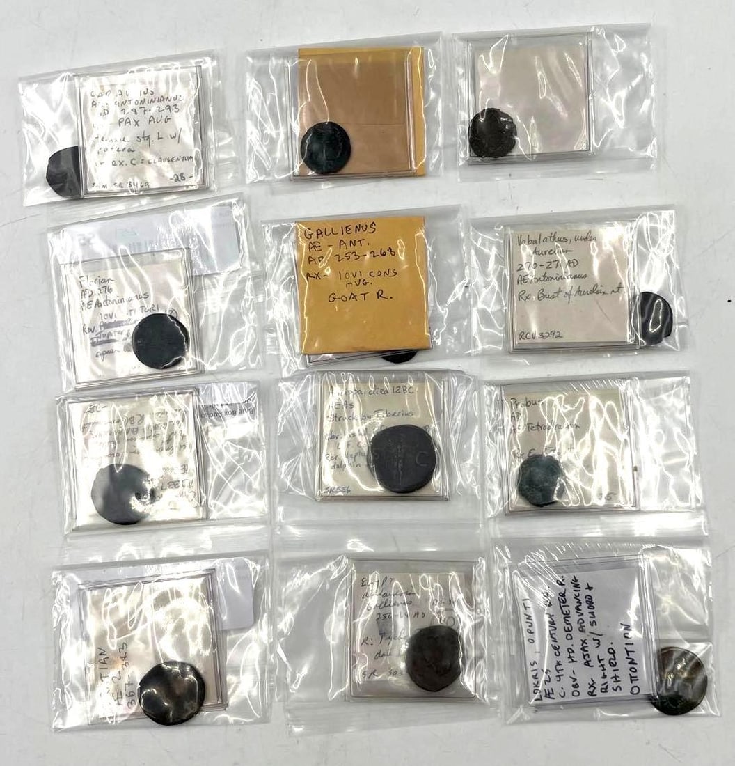 Collection of Ancient Coins: Collection of Ancient Coins, 12 various coins included. Contains mostly Roman issues. Lokris opunti, AE 25, 4th century BC, Demeter, Ajax advancing right with sword and shield Agrippa, died 12BC, Stru