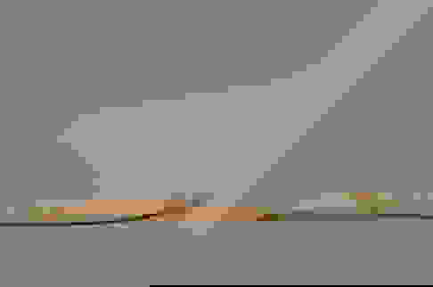 Alaskan Walrus Baculum Oosik Penile Bone Auction