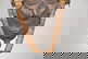 item-207234242=4