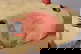 item-207234277=5