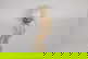 item-207234387=5