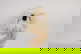 item-207234387=7