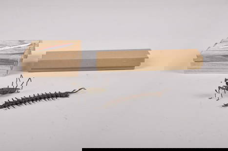 Cooper Articulated Centipede and Praymantis Jizai Okimono: Origin: Late 19th century, Japan Medium: Copper Dimension: Centipede: 5.5x1in