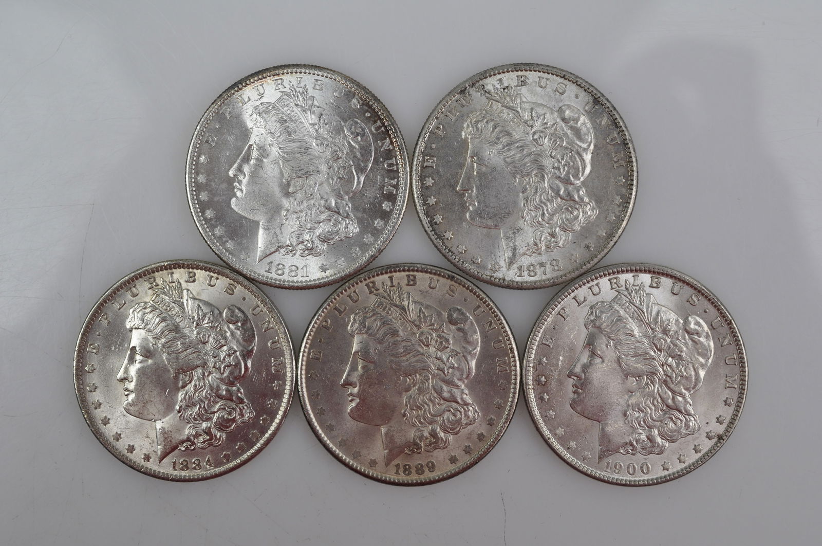 Morgan Silver Dollars (1 of 13)