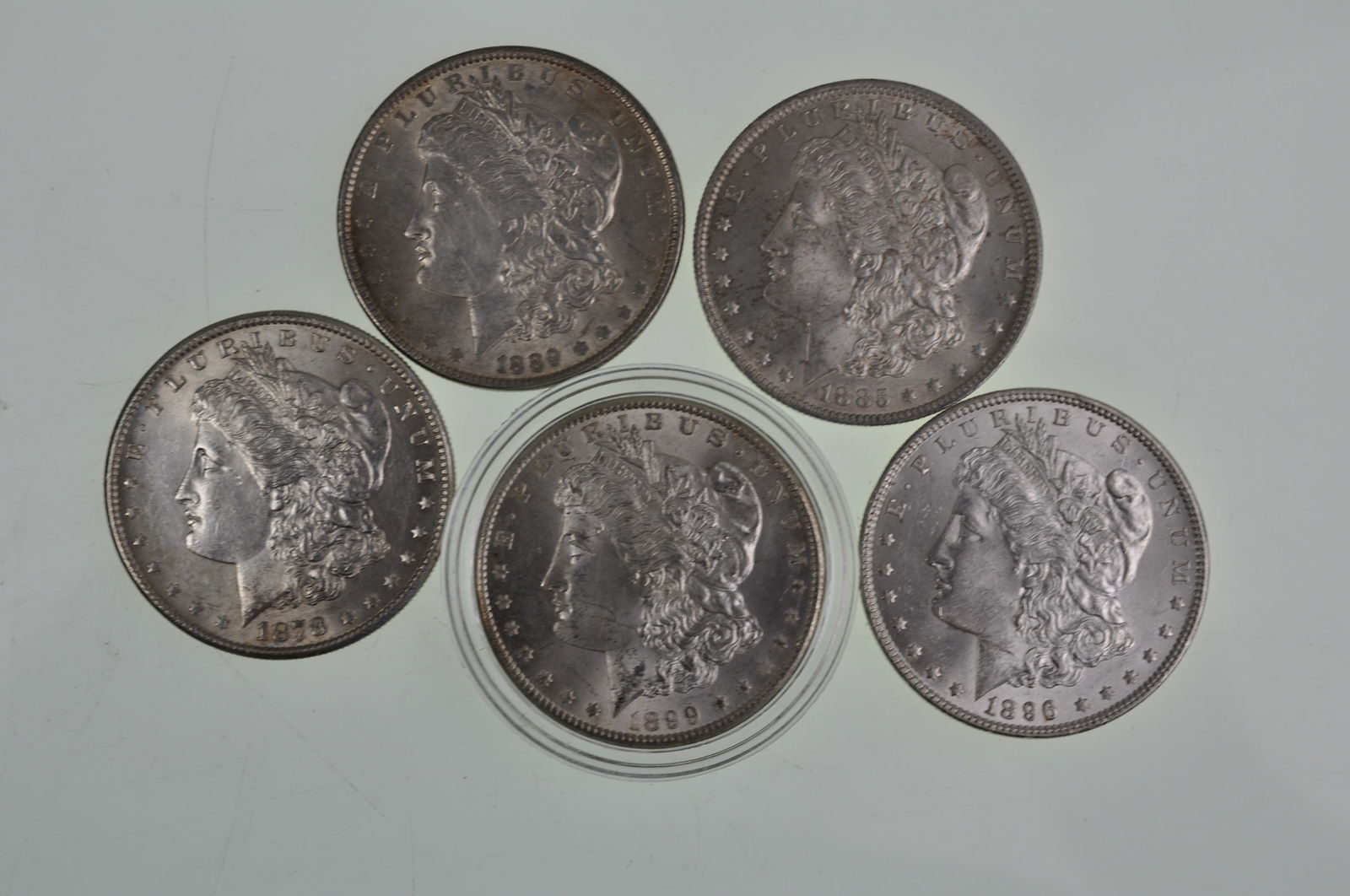 Morgan Silver Dollars (1 of 11)