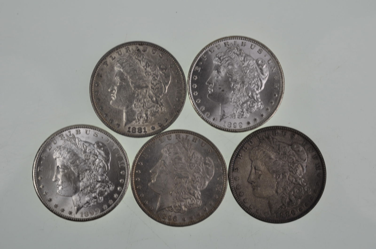 Morgan Silver Dollars (1 of 11)