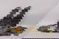 SEAL equipment and VHS Footage of SDV Training