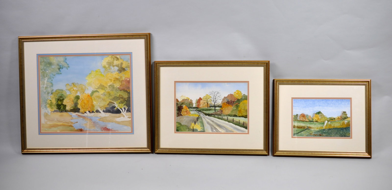 Original Watercolor Paintings w/Matching Frames (1 of 16)