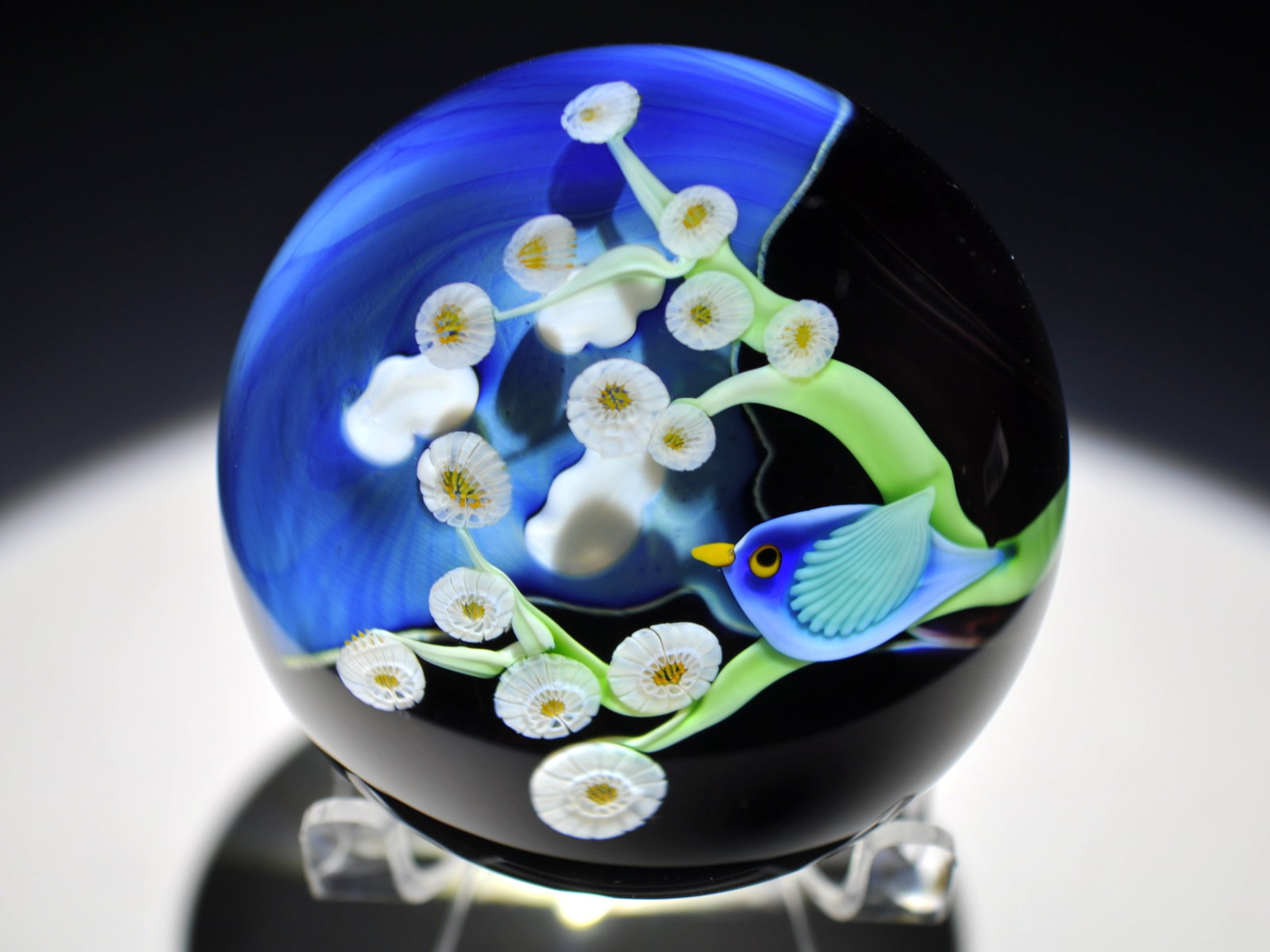 Orient & Flume 67/250 Bluebird Weight (1 of 9)