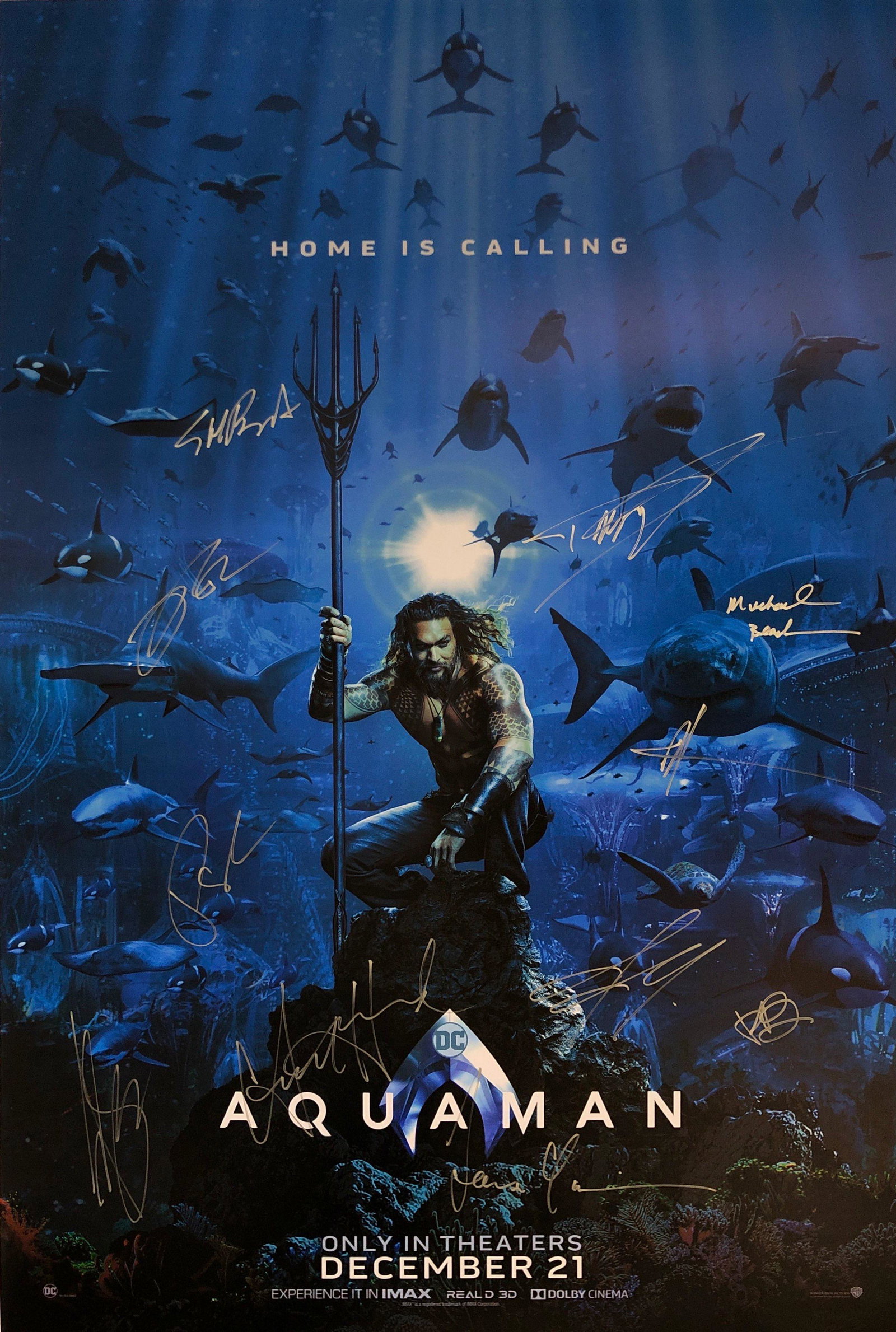 Jason Momoa Autograph Signed Aquaman Poster: Category: Autograph CollectiblesSize: Width 24 inches x Height 36 inchesAutograph Includes: Jason Momoa, Amber Heard, Patrick Wilson, Nicole Kidman, Dolph Lundgren, Yahya Abdul-Mateen II, Temuera Morr