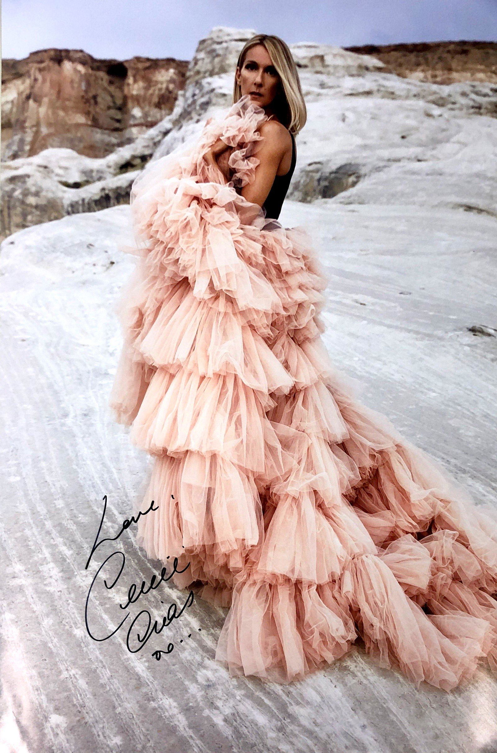 Celine Dion Autograph Signed Poster: Category: Autograph Photo CollectiblesSize: Width 16 inches x Height 23 inchesAutograph Includes: Celine DionItem is in great condition with no damage, unframedIf image of documentation is attached in