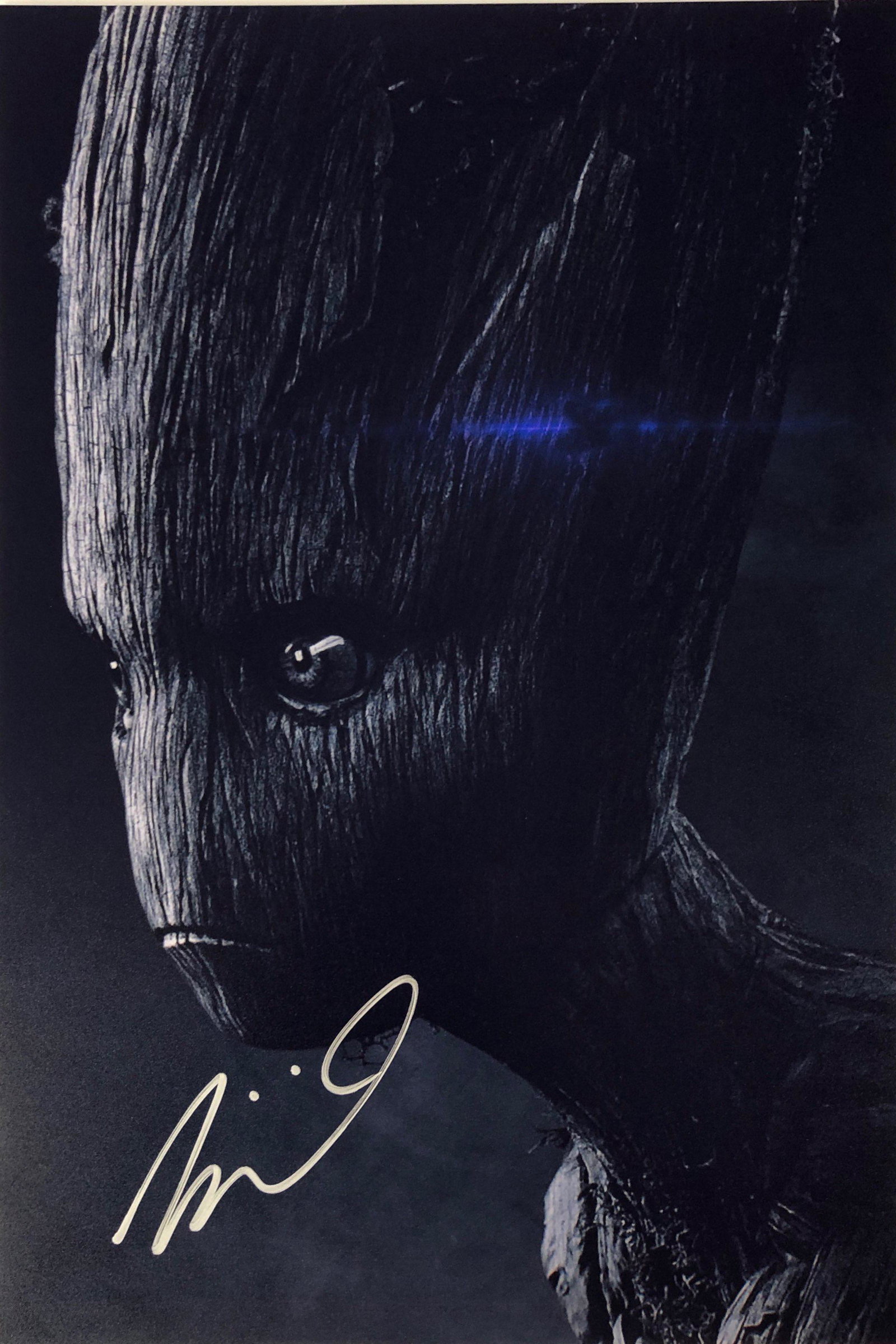 Avneger Endgame Photo Vin Diesel Autographed Signed: Category: Autograph Photo CollectiblesItem is in great condition with no damage, unframed If image of documentation is not attached in the listing, the lot is sold without documents. Please review our