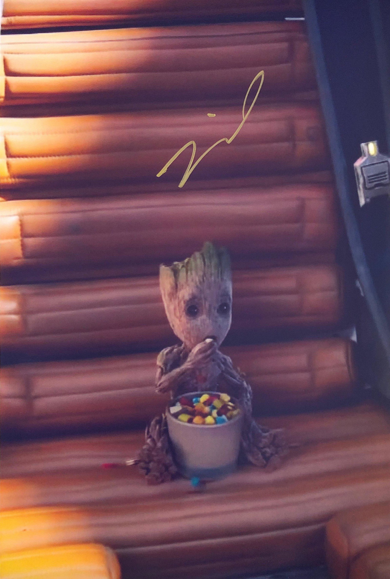 Vin Diesel Groot Autograph Signed Photo: Autographed by:Vin DieselSize: 8" x 10"Category: Autograph CollectiblesItem is in great condition with no damage, unframed If image of documentation is not attached in the listing, the lot is sold wit