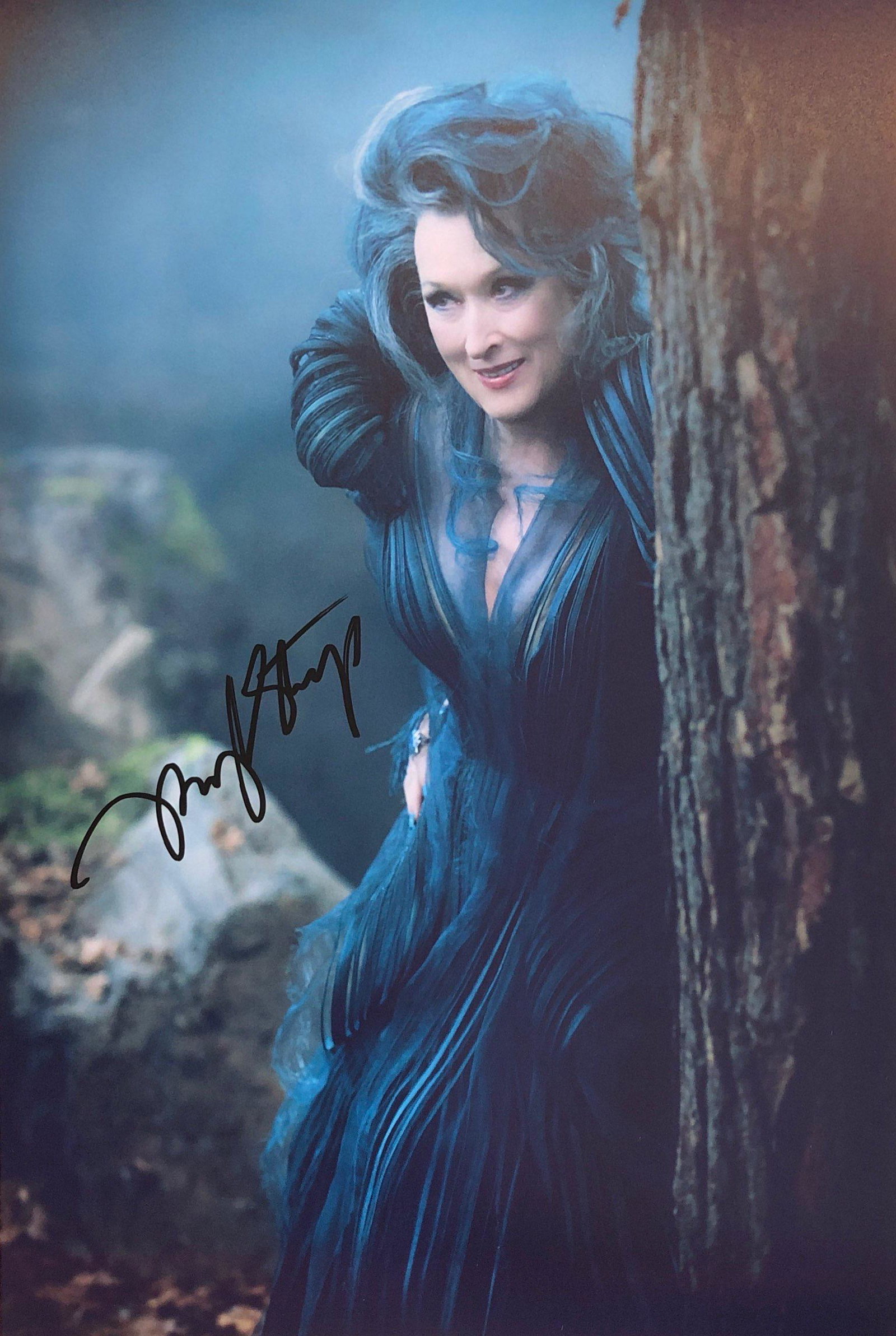 Meryl Streep Autograph Signed Photo: Autographed by:Meryl StreepSize: 8" x 10"Category: Autograph CollectiblesItem is in great condition with no damage, unframed If image of documentation is not attached in the listing, the lot is sold w