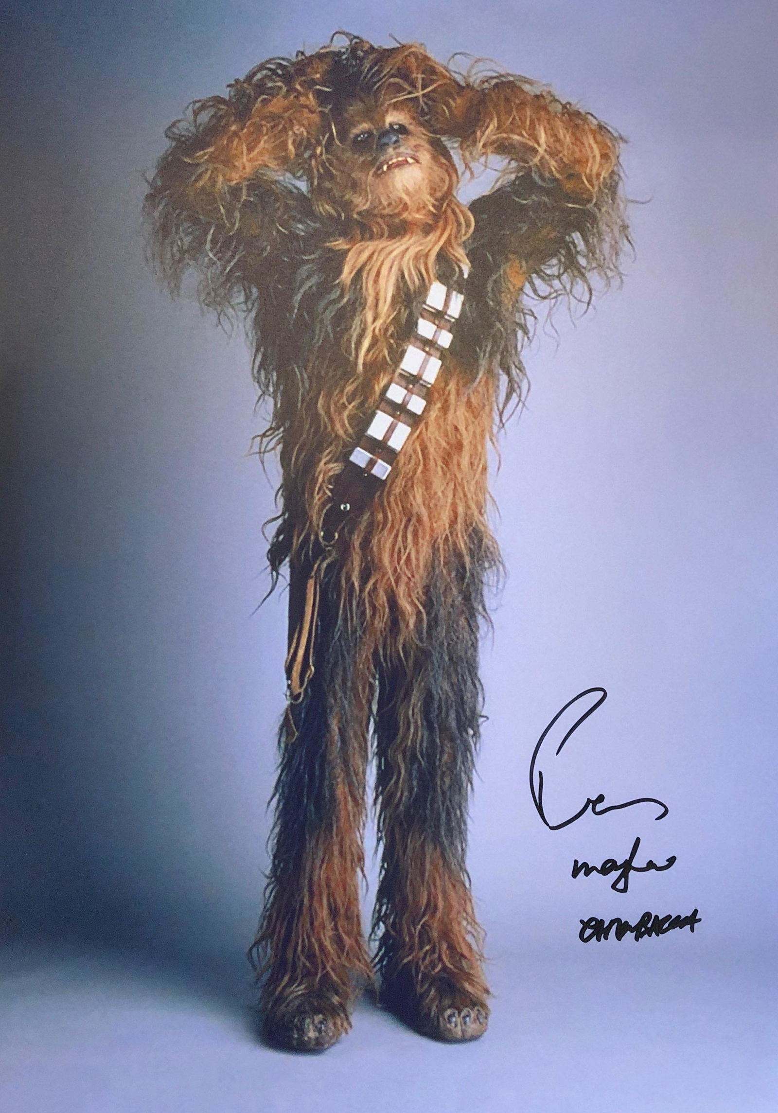Peter Mayhew Autograph Signed Photo: Autographed by:Peter MayhewSize: 8" x 10"Category: Autograph CollectiblesItem is in great condition with no damage, unframed If image of documentation is not attached in the listing, the lot is sold w