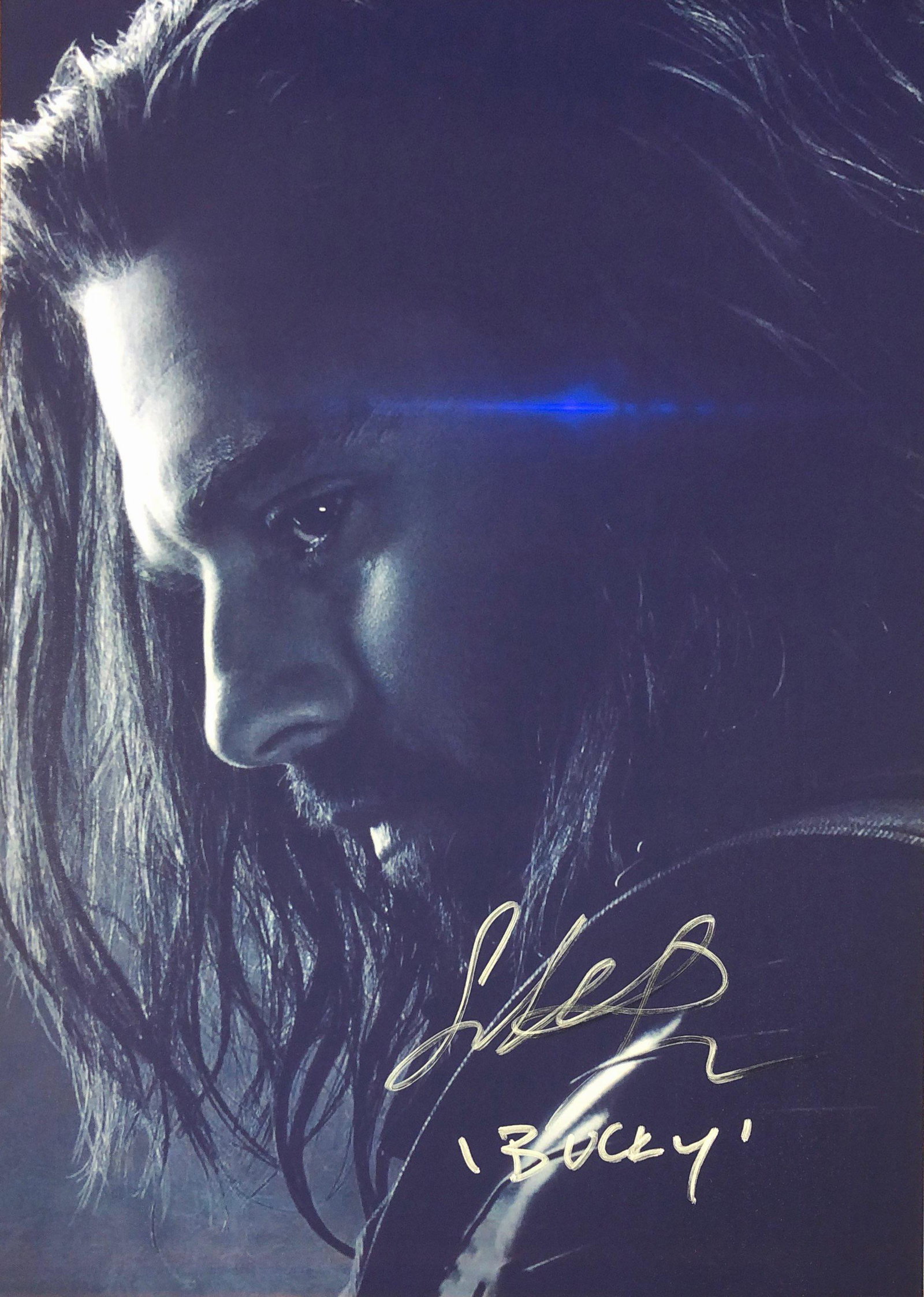 Avengers Endgame Sebastian Stan Signed Photo: Autographed by:Sebastian StanSize: 8" x 10"Authentication Code: PC38399Item is in great condition with no damage, unframed If image of documentation is not attached in the listing, the lot is sold wit