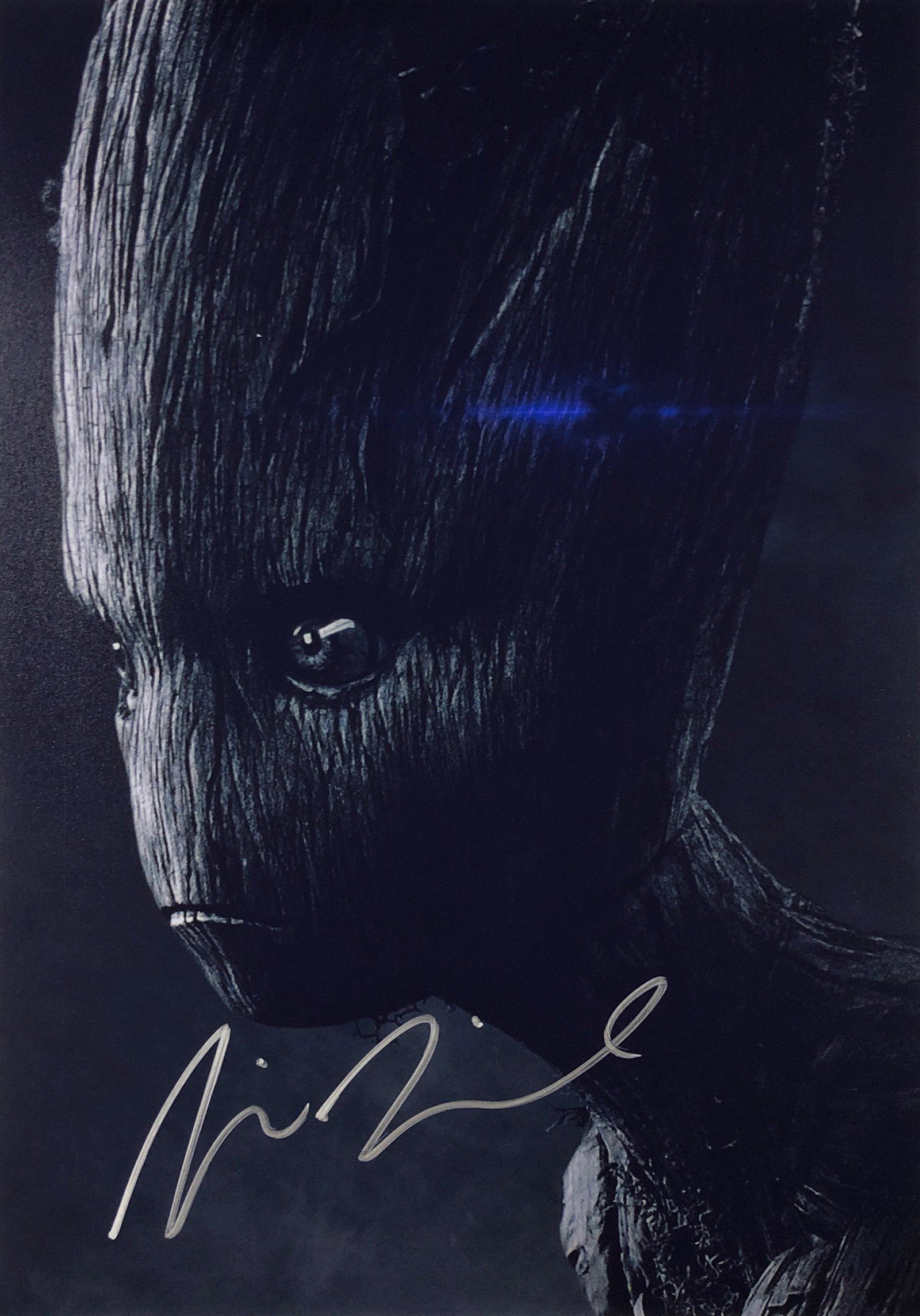 Avengers Endgame Vin Diesel Signed Photo: Autographed by:Vin DieselSize: 8" x 10"Authentication Code: PC38411Item is in great condition with no damage, unframed If image of documentation is not attached in the listing, the lot is sold without