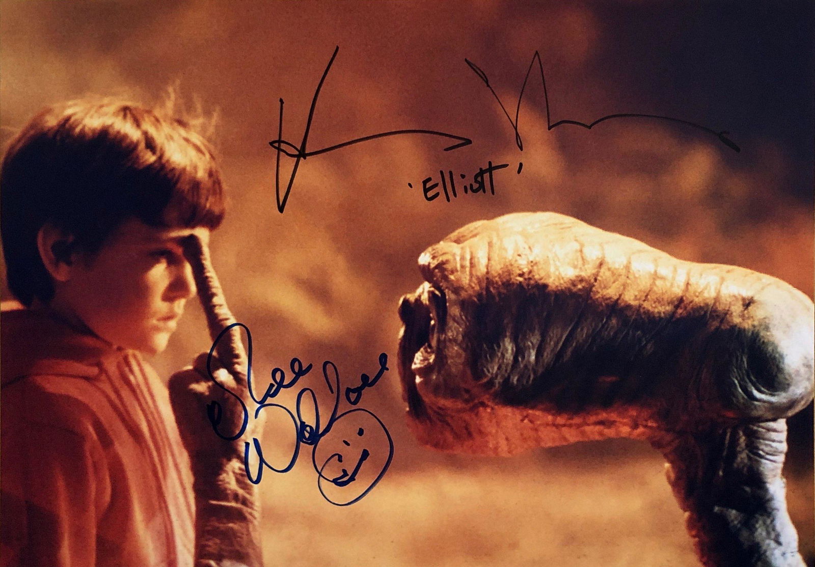 ET Henry Thomas Signed Photo: Autographed by:Henry Thomas, Dee Wallace StoneSize: 8" x 10"Authentication Code: PC38121Item is in great condition with no damage, unframed If image of documentation is not attached in the listing, th