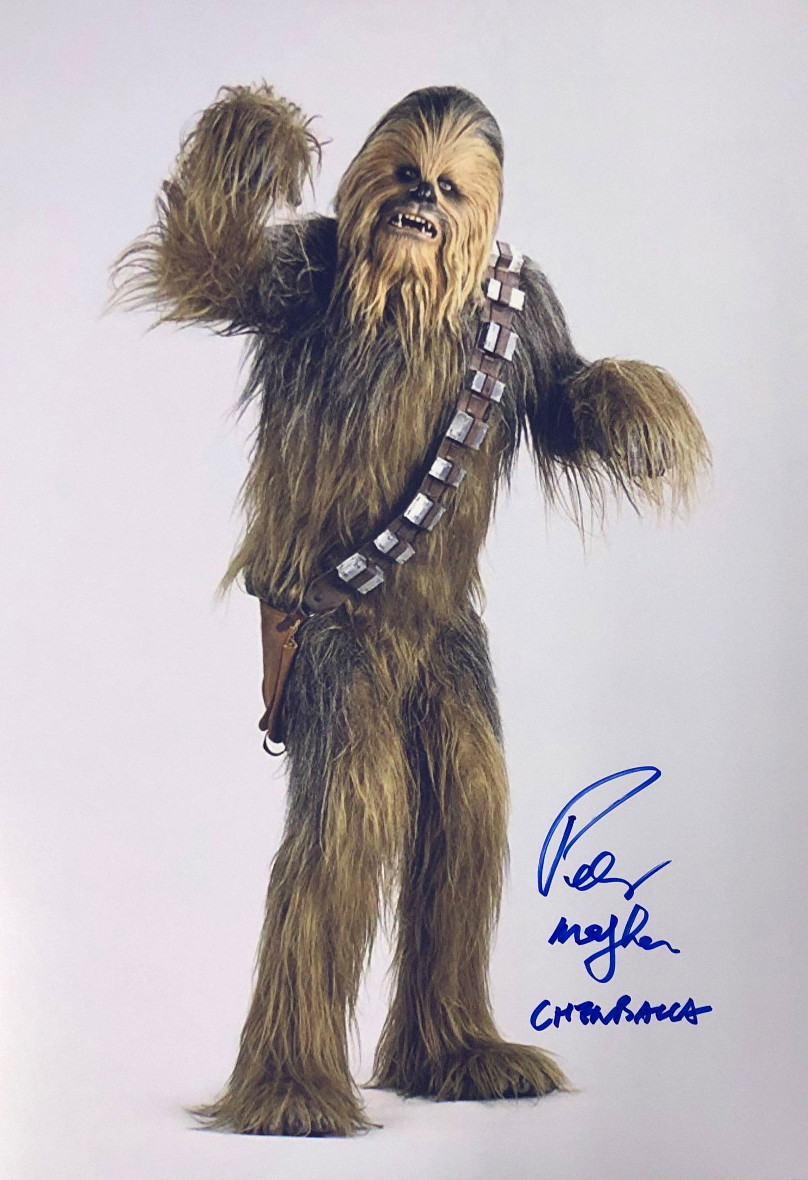 Star Wars Peter Mayhew Signed Photo: Autographed by:Peter MayhewSize: 8" x 10"Authentication Code: PC25455Item is in great condition with no damage, unframed If image of documentation is not attached in the listing, the lot is sold witho