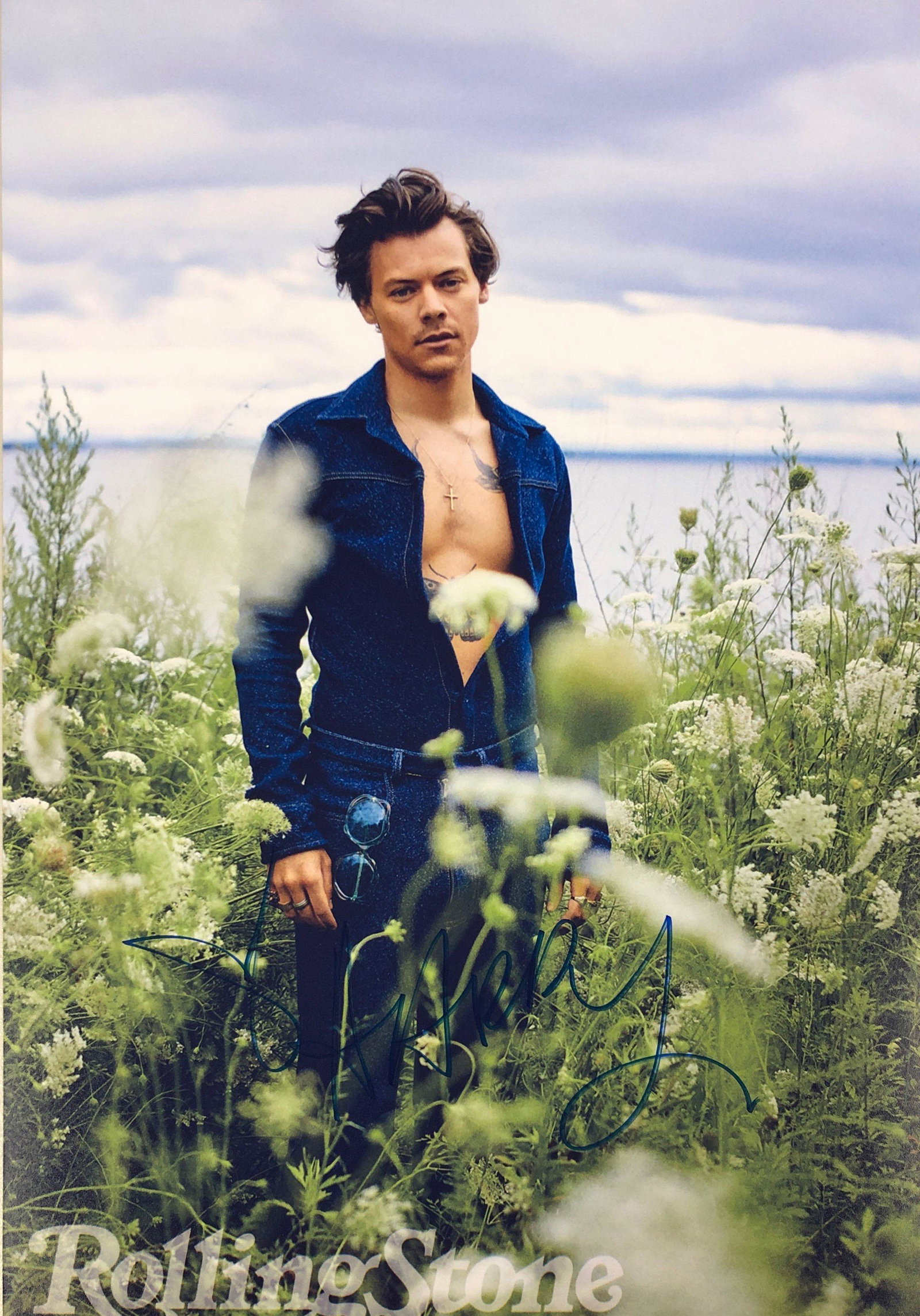 Harry Styles Signed Photo: Autographed by:Harry StylesSize : 8" x 10"Authentication Code: PC26429Item is in great condition with no damage, unframed If image of documentation is not attached in the listing, the lot is sold with