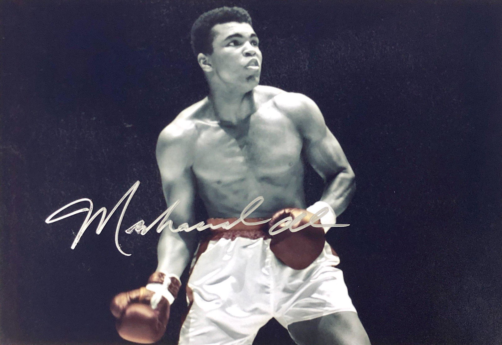 Muhammad Ali Autograph Signed Photo: Category: Autograph Photo CollectiblesSize: Width 8 inches x Height 10 inchesAutograph Includes: Muhammad AliItem is in great condition with no damage, unframedIf image of documentation is not attache