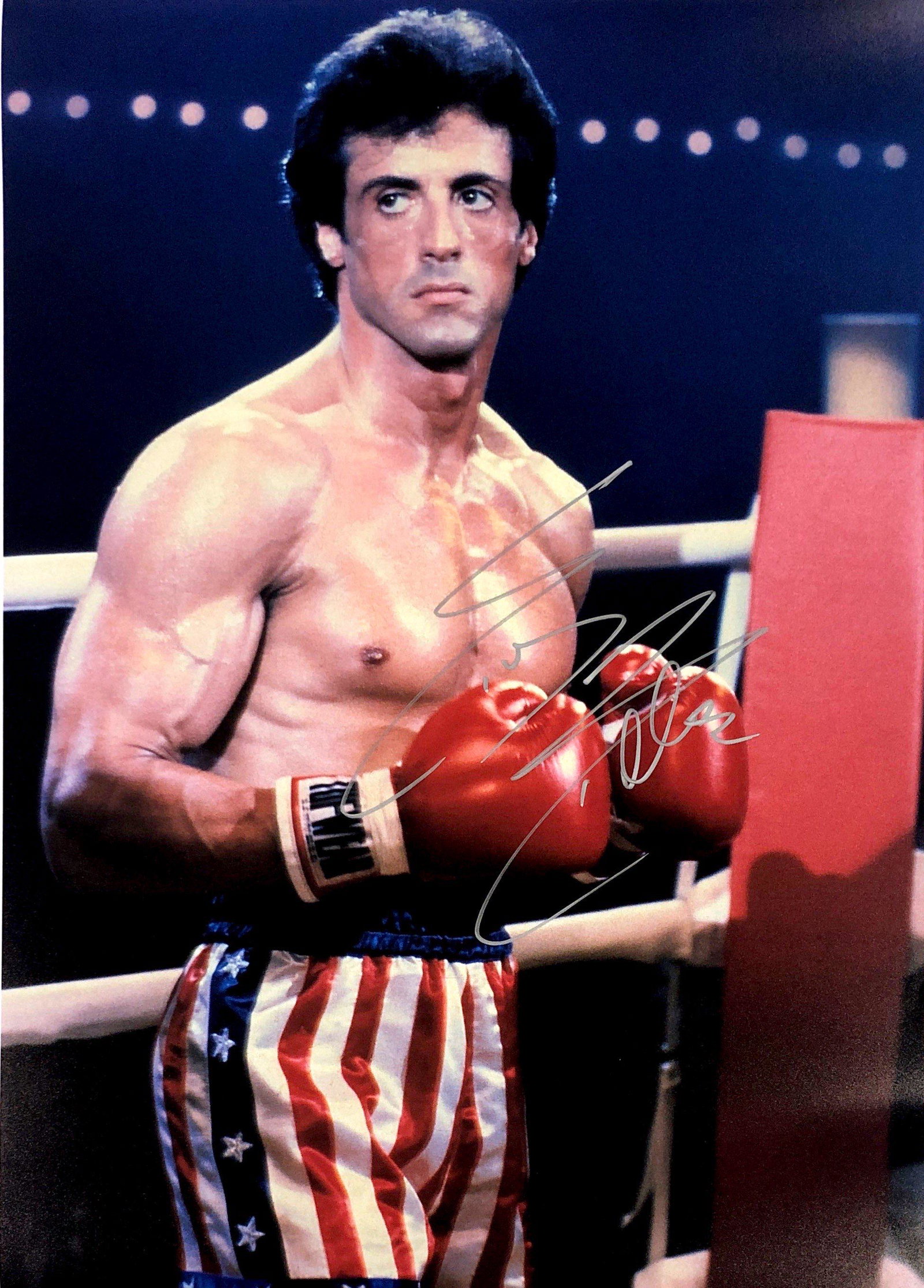 Sylvester Stallone Autograph Signed Rocky Poster: Category: Autograph CollectiblesSize: Width 16 inches x Height 11 inchesAutograph Includes: Sylvester StalloneItem is in great condition with no damage, unframedIf image of documentation is attached i