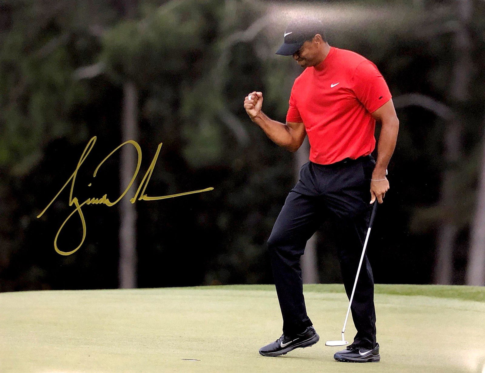Tiger Woods Autograph Signed Poster: Category: Autograph Photo CollectiblesSize: Width 16 inches x Height 23 inchesAutograph Includes: Tiger WoodsItem is in great condition with no damage, unframedIf image of documentation is attached in