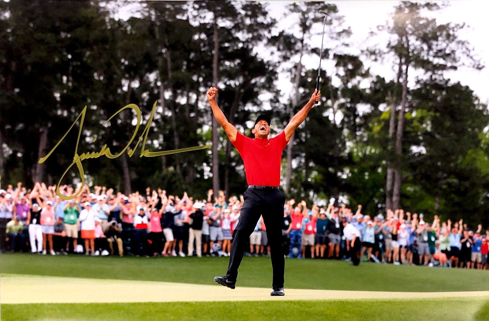 Tiger Woods Autograph Signed Poster: Category: Autograph Photo CollectiblesSize: Width 16 inches x Height 23 inchesAutograph Includes: Tiger WoodsItem is in great condition with no damage, unframedIf image of documentation is attached in