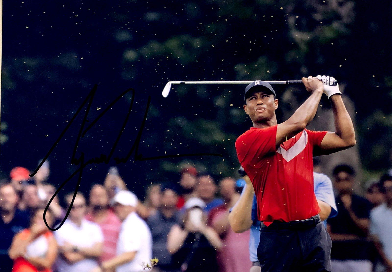 Tiger Woods Autograph Signed Photo: Category: Autograph Photo CollectiblesSize: Width 8 inches x Height 10 inchesAutograph Includes: Tiger WoodsItem is in great condition with no damage, unframedIf image of documentation is attached in