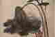 item-128356964=4