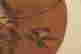 item-131944657=4