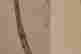 item-131944687=7