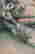 item-131944979=6