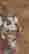 item-131944994=2