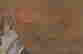 item-131944994=5