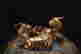 item-131945189=2