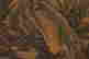 item-136519799=10