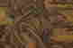 item-136519799=8