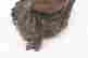 item-136539084=7