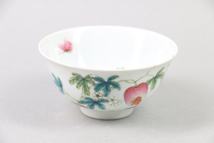 A Chinese Famille-Rose Porcelain Bowl
