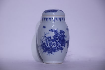 A Chinese Blue and White Porcelain Vase with Cap