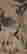 item-106011371=2