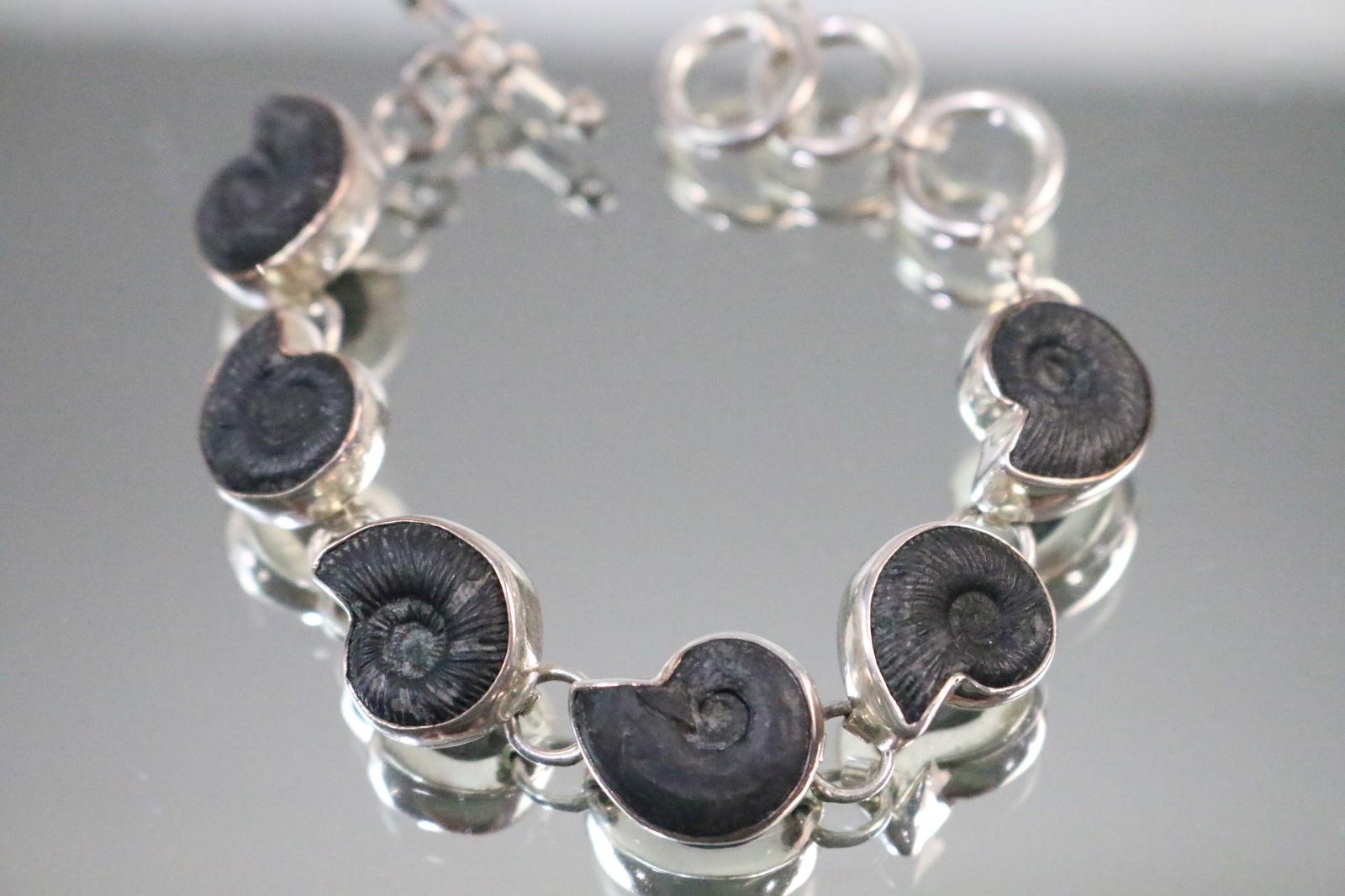 Charles Albert Sterling Silver Ammonite Fossil Bracelet (1 of 8)