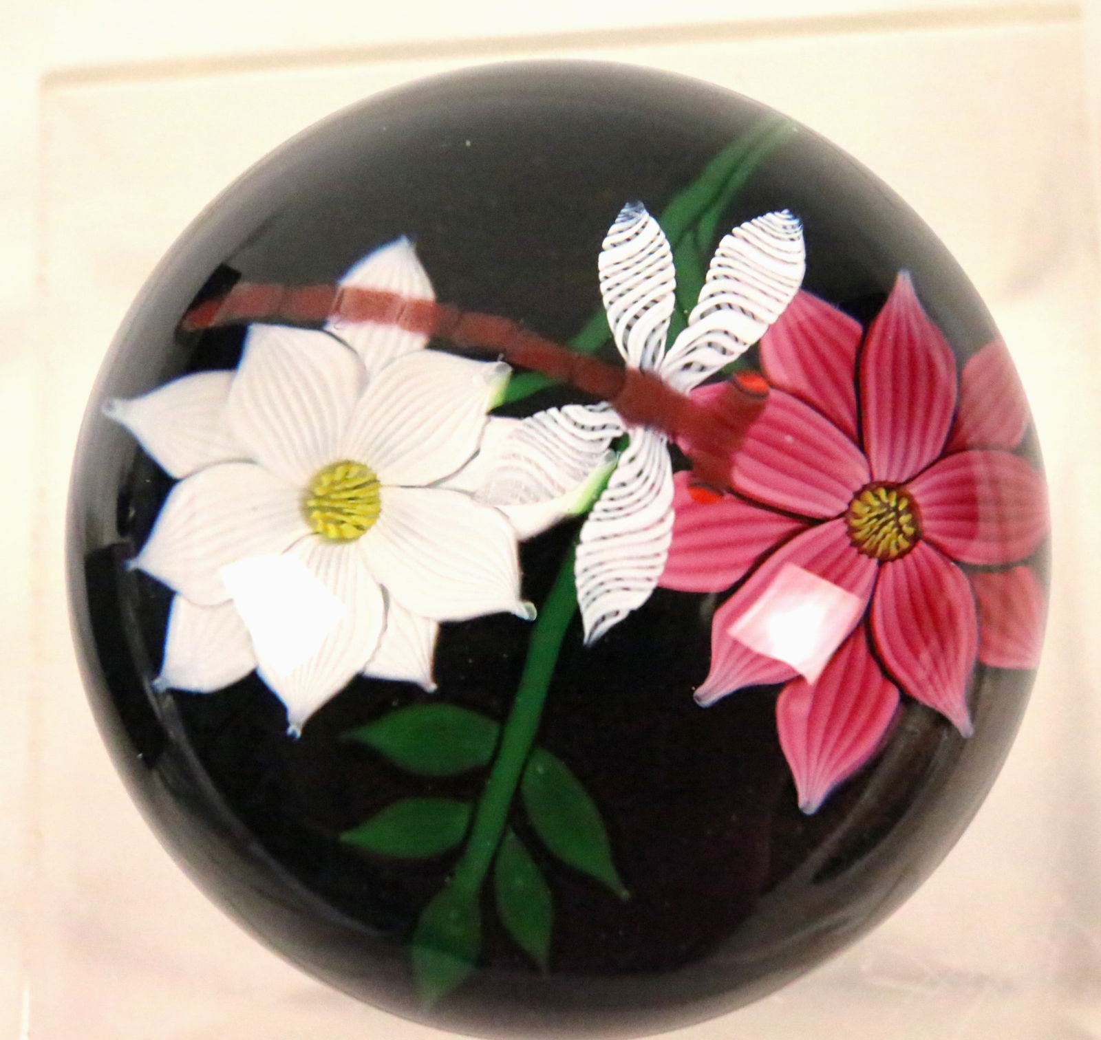 Caithness Scotland Limited Edition Dragonfly & Flowers Signed Art Glass Paperweight (1 of 6)