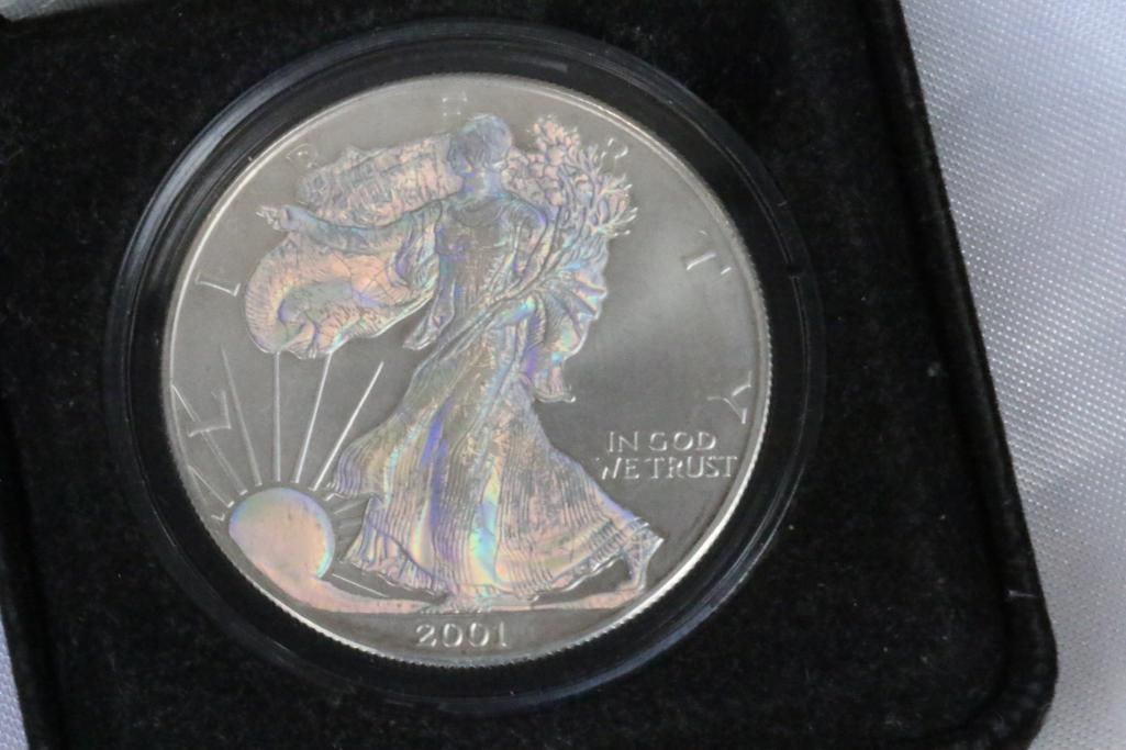 Morgan Mint 2001 Holographic Walking Liberty Silver dollar coin (1 of 8)