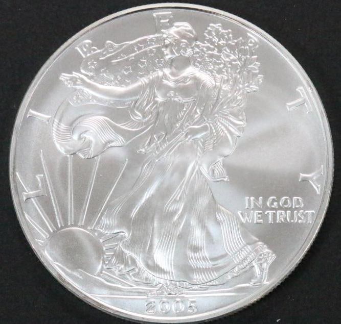 2005 Silver Eagle Uncirculated Plastic pouch (1 of 3)