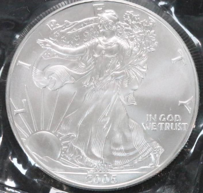 2005 Silver Eagle Uncirculated Plastic pouch (1 of 3)