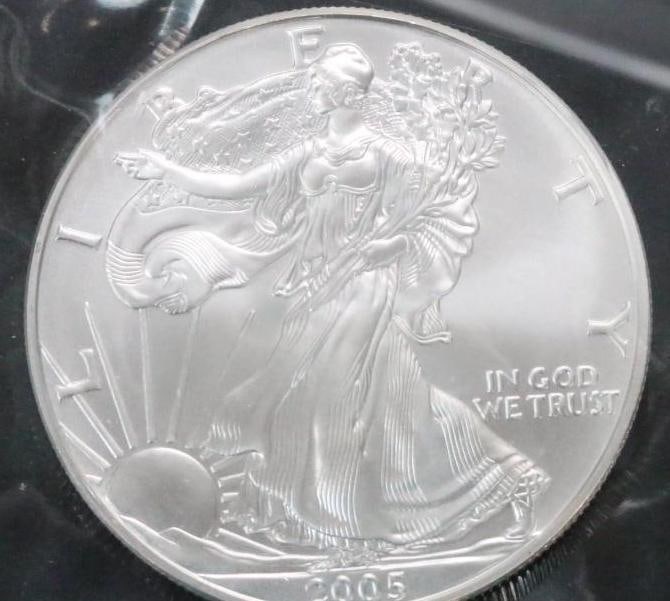2005 Silver Eagle Uncirculated Plastic pouch (1 of 3)