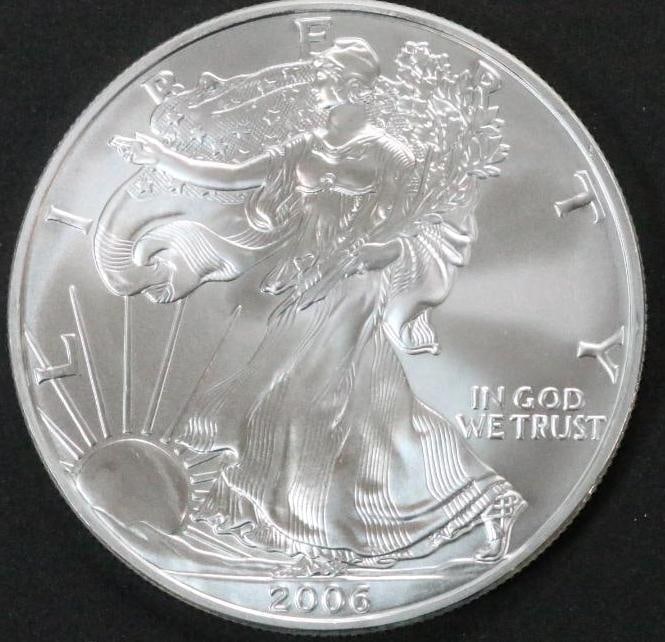 2006 Silver Eagle Uncirculated Plastic pouch (1 of 4)